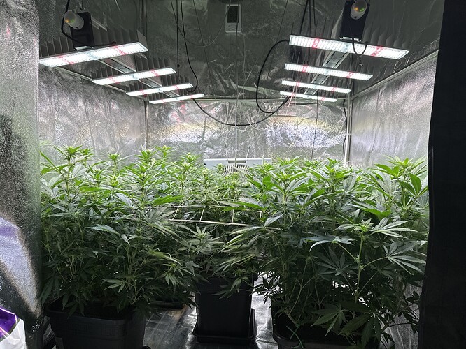 Growreport Bild 15