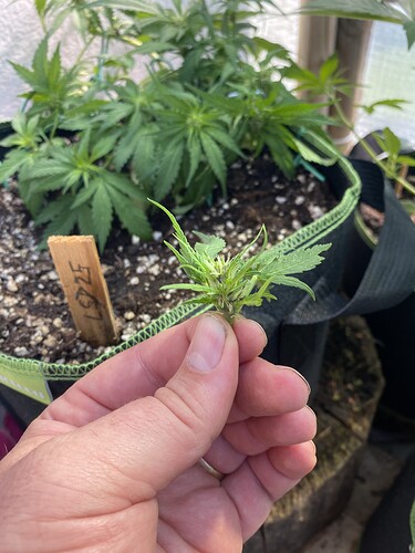 Growreport Bild 5