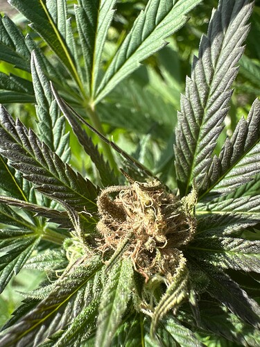Growreport Bild 20
