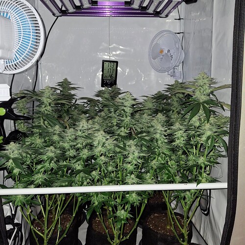 476838351_122166829022293599_7745356778269043178_n