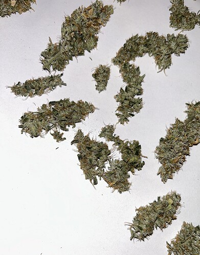 Growreport Bild 27