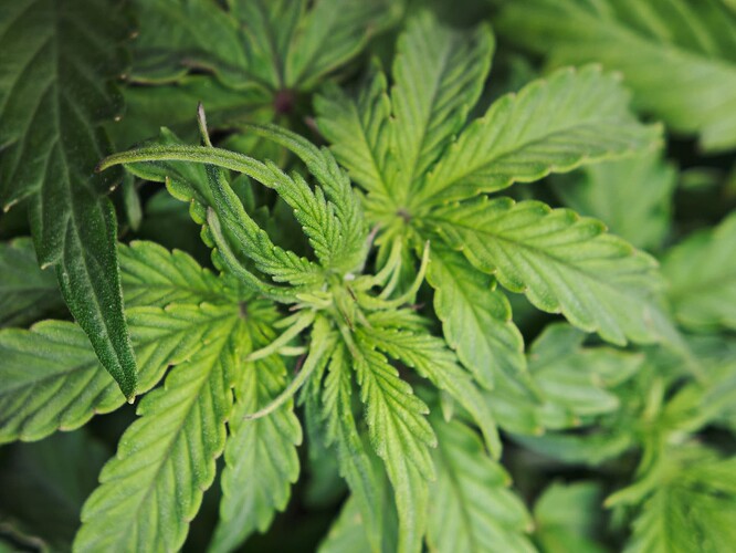 MVIMG_20251012_210559