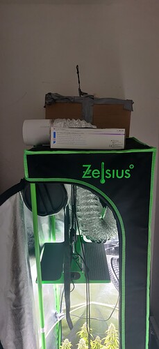 IMG_20240702_011802