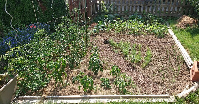 Growreport Bild 82