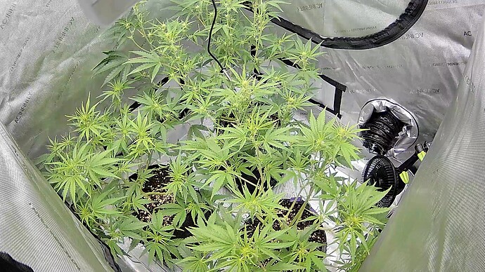 Growreport Bild 9
