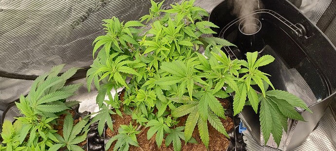 IMG_20251016_203521982_HDR