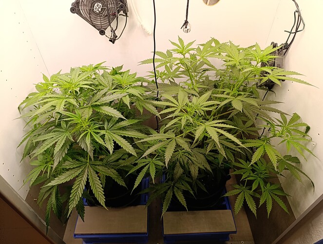 Growreport Bild 22