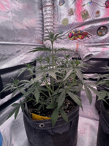 Growreport Bild 4