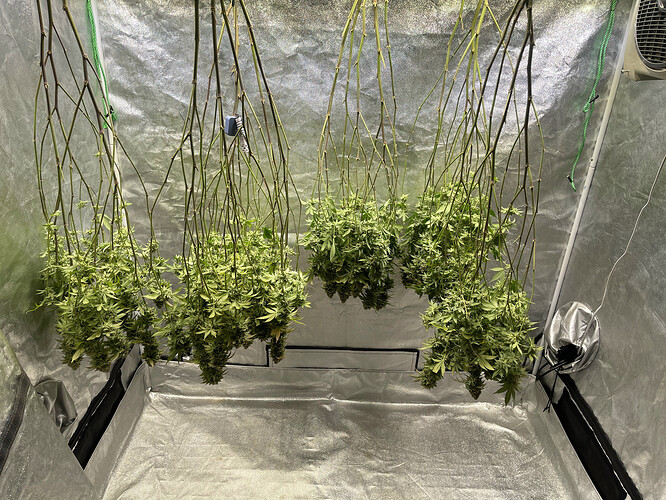 Growreport Bild 12