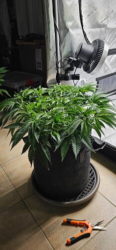 Growreport Bild 5