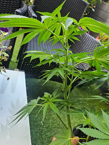 Growreport Bild 29