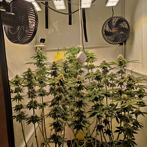 Growreport Bild 17
