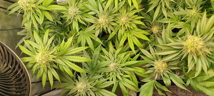Growreport Bild 10