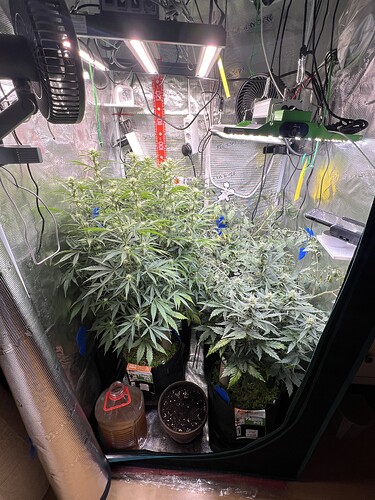 Growreport Bild 17