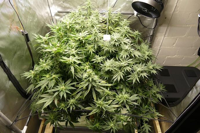 Übersicht_vorne_oben_VT76BT29