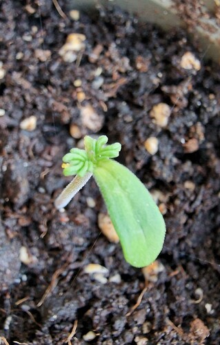 Growreport Bild 14