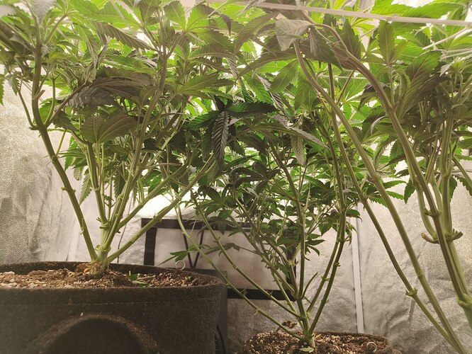 photo_5830397020781789194_y