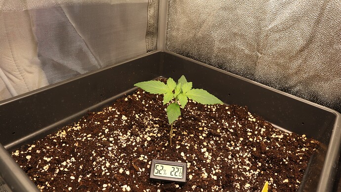 Growreport Bild 10