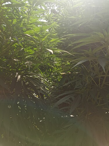 Growreport Bild 19