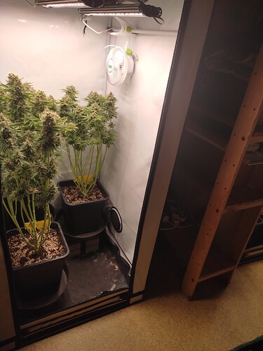Growreport Bild 19