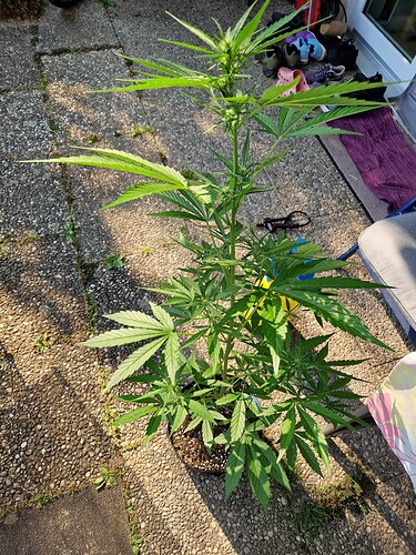 Growreport Bild 24