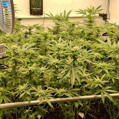 474619486_122165355554293599_8704744665956493918_n