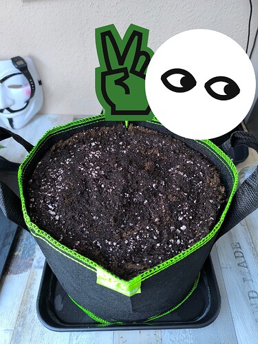 Growreport Bild 23