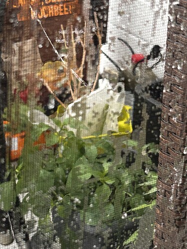 Growreport Bild 34