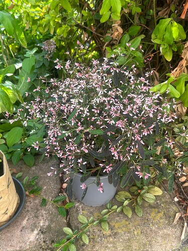 Growreport Bild 4
