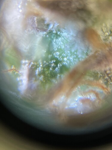 Growreport Bild 12