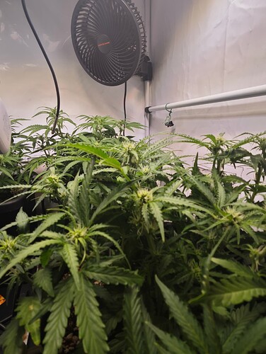 MVIMG_20251019_223244