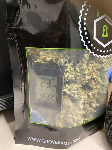 Growreport Bild 27
