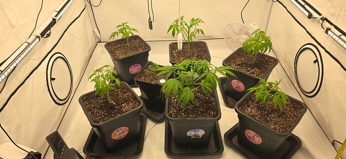 Growreport Bild 14