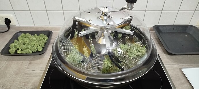Growreport Bild 3