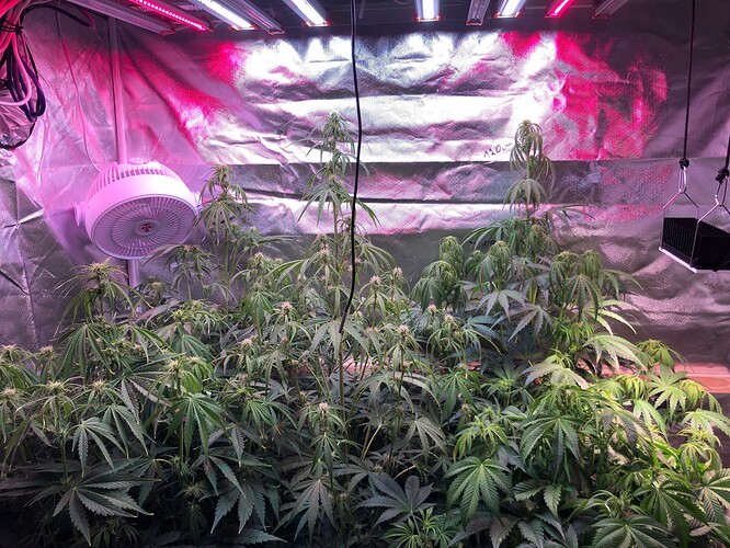 Growreport Bild 6