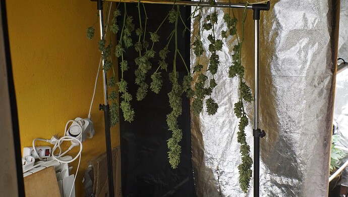 Growreport Bild 3