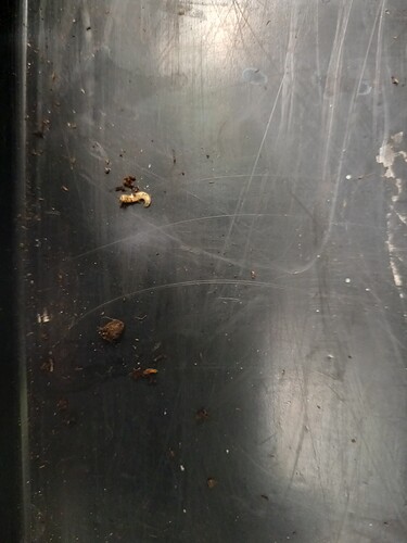 Growreport Bild 3