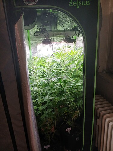 Growreport Bild 1