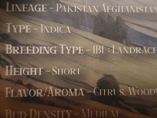 20260830_133051