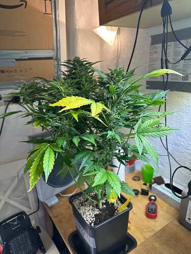 Growreport Bild 2
