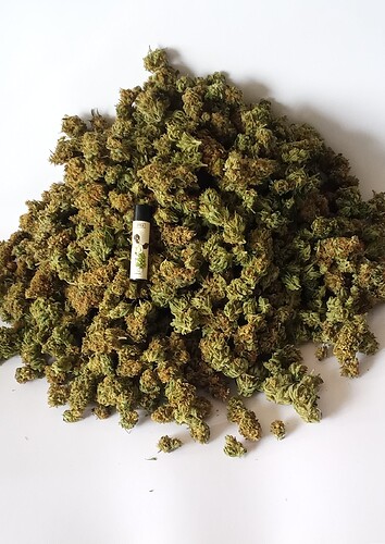 Growreport Bild 9