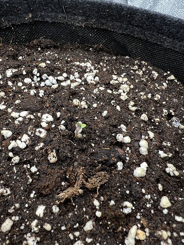 Growreport Bild 5