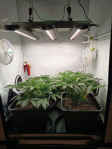 Growreport Bild 10