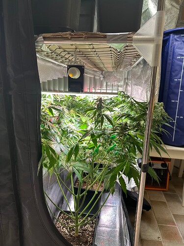 Growreport Bild 5