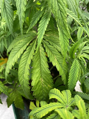 f2afc2370bdd2fb128a43af659c456dcfec91e7d