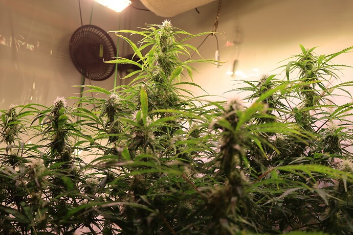 Growreport Bild 2