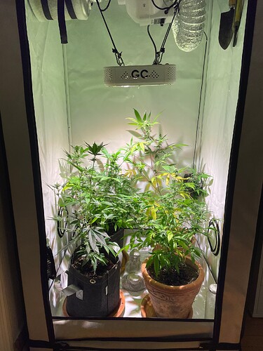 Growreport Bild 2