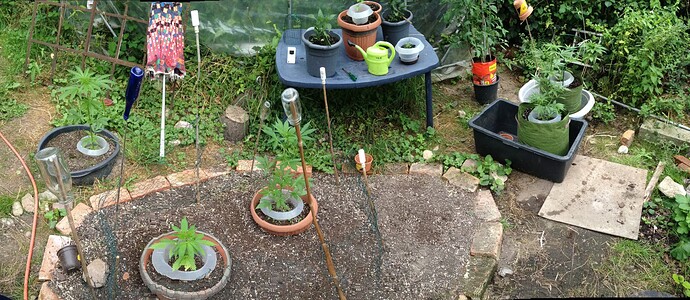Growreport Bild 29