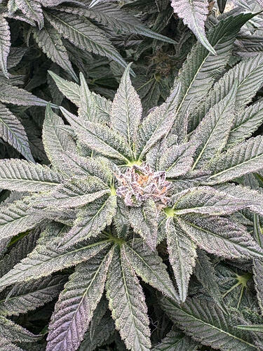 Foto 01.05.26, 06 11 50