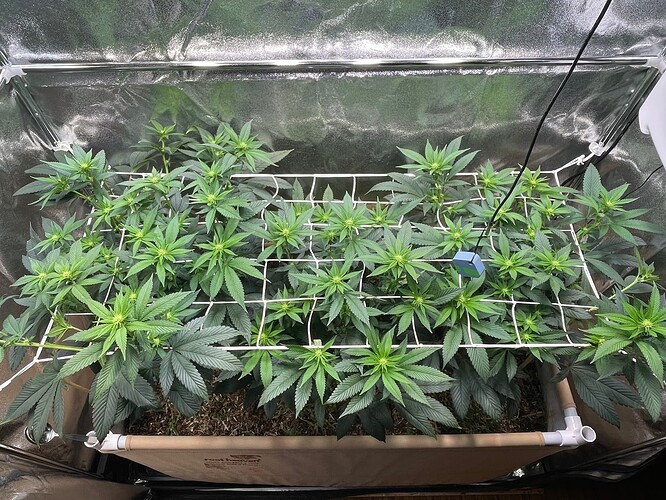 Growreport Bild 8